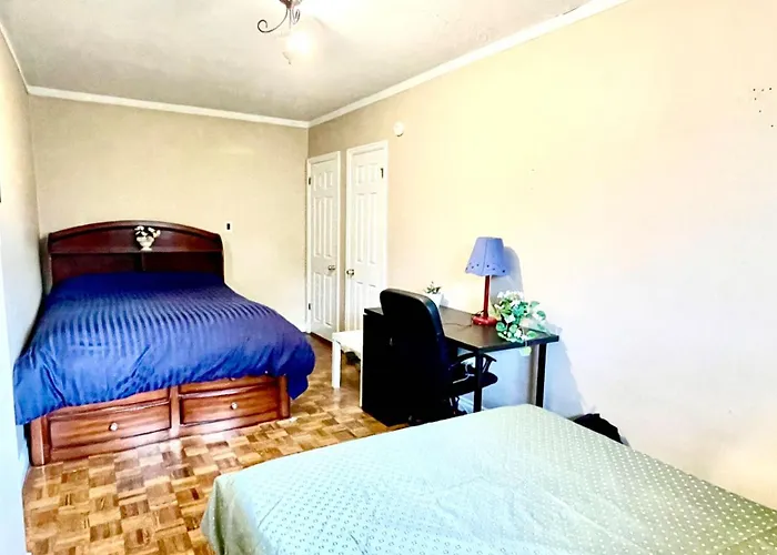 Large King Room